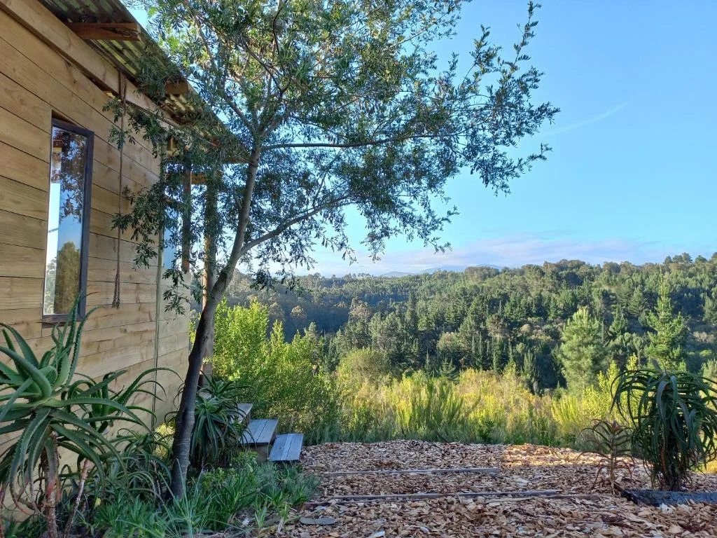 Lush forested valley landscape visible from property grounds
