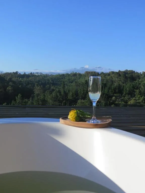 Wine glass and lemon on deck railing overlooking forested valley and distant mountains