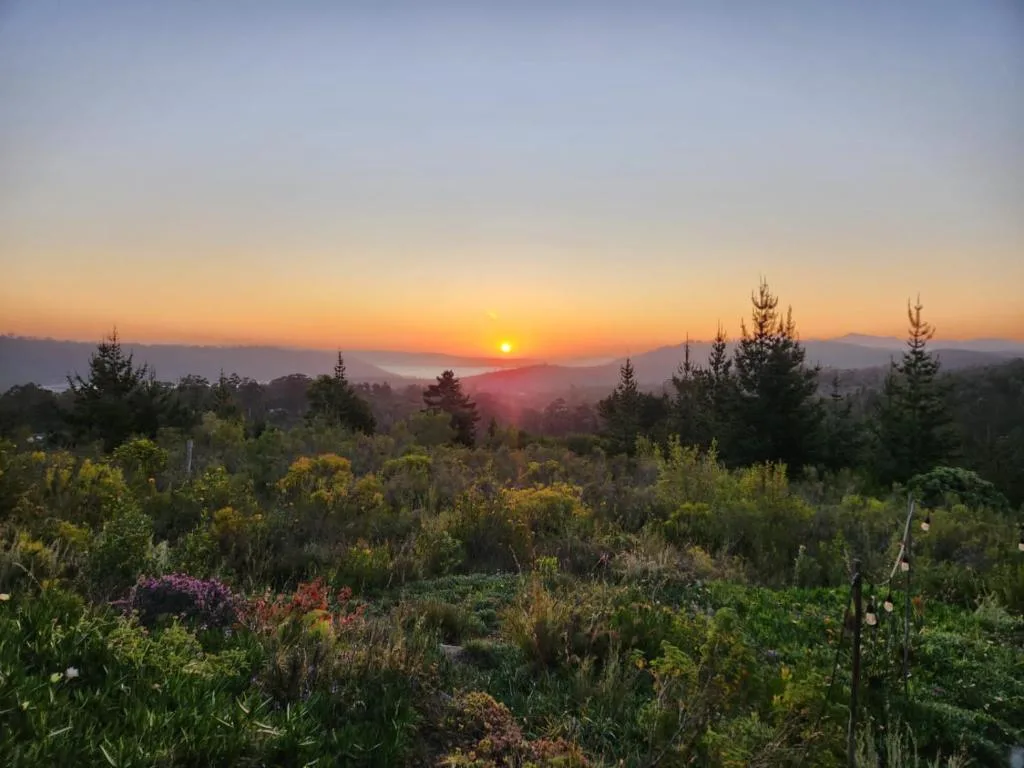 Sunrise over mountains and forested valleys with gardens in foreground