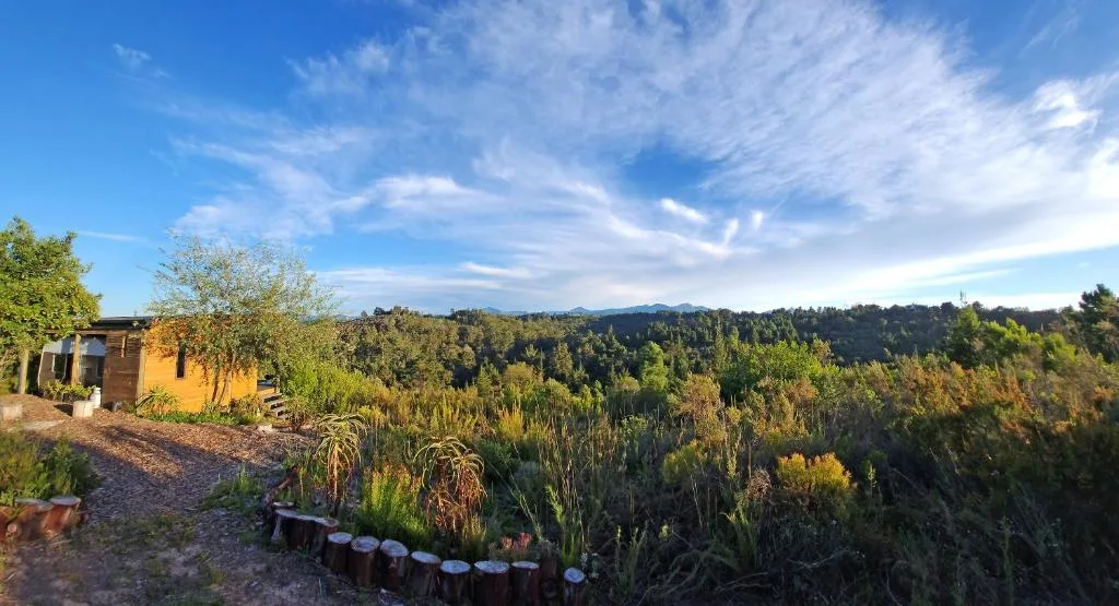 Expansive forest and mountain landscape view from the property grounds