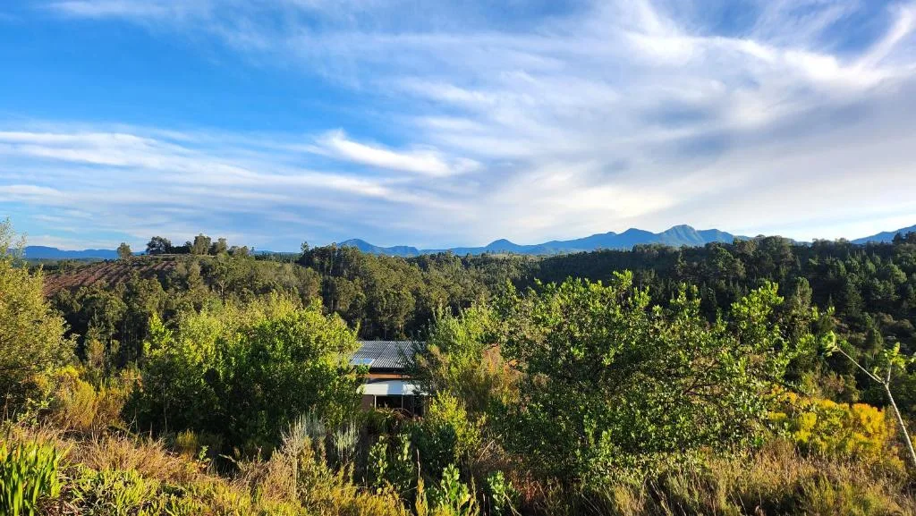 Mountain range visible beyond forested valley with property nestled below