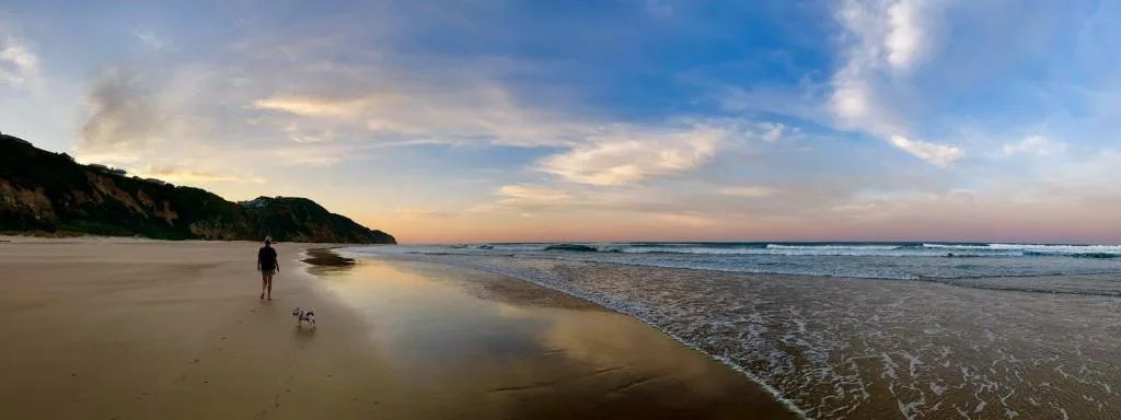 Pristine sandy beach with golden sunset light and coastal cliffs nearby