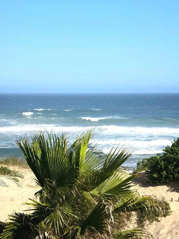 Ocean waves and sandy beach with coastal vegetation in foreground