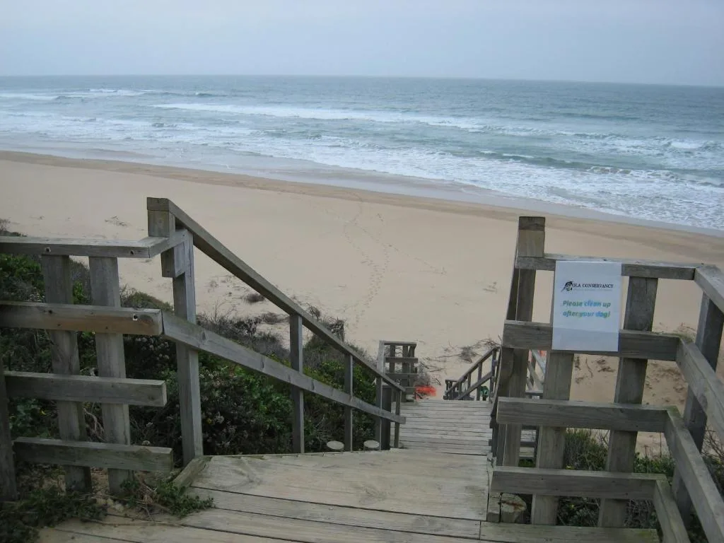 Wooden boardwalk leading to pristine beach with rolling ocean waves and coastal horizon