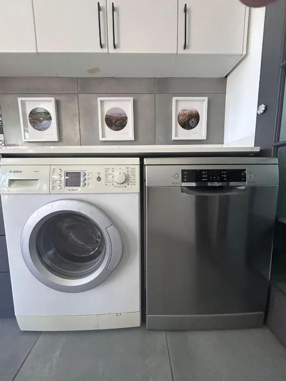 Modern laundry room with washing machine and dishwasher appliances
