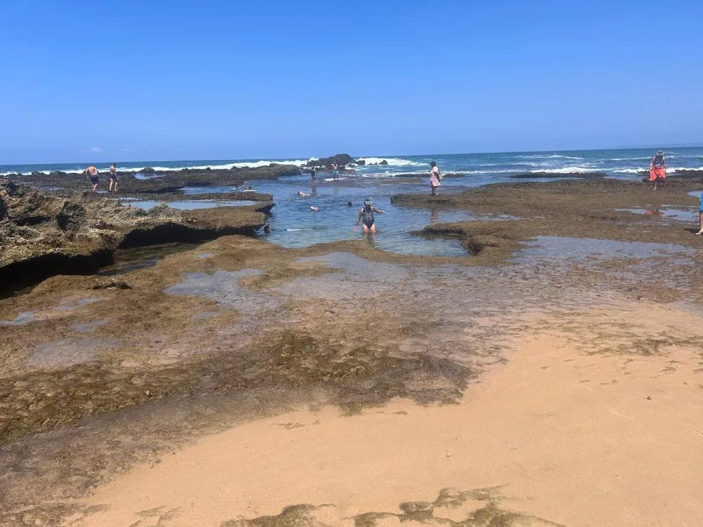 Rocky beach with tidal pools and swimmers enjoying the ocean