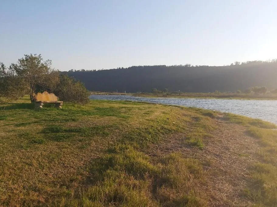 Scenic lagoon view with forested hills and riverside garden setting