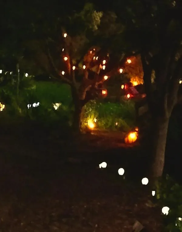 Garden pathway illuminated by warm lantern lights at night