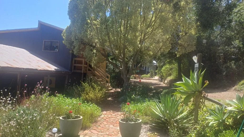 Garden pathway with weeping willow trees and potted flowers leading to cottage