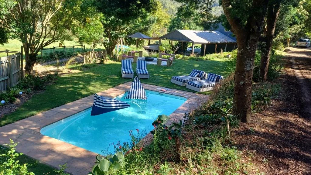 Sparkling blue swimming pool with loungers and shade structures in lush garden setting