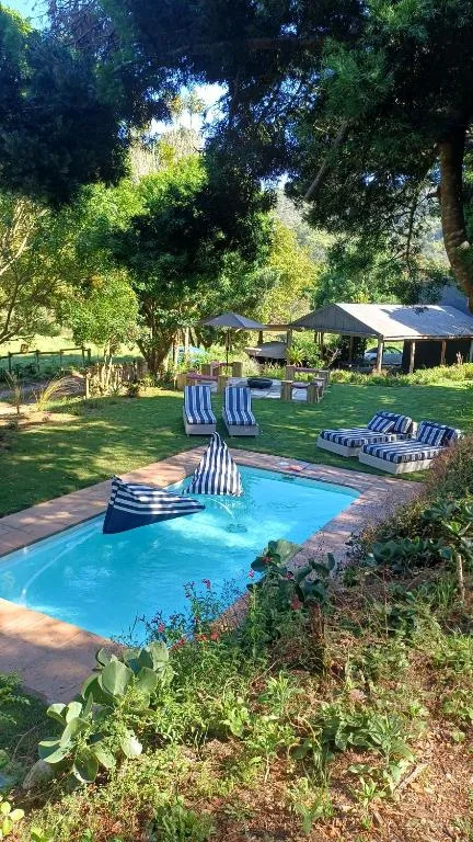 Bright blue swimming pool with striped loungers and shaded seating areas