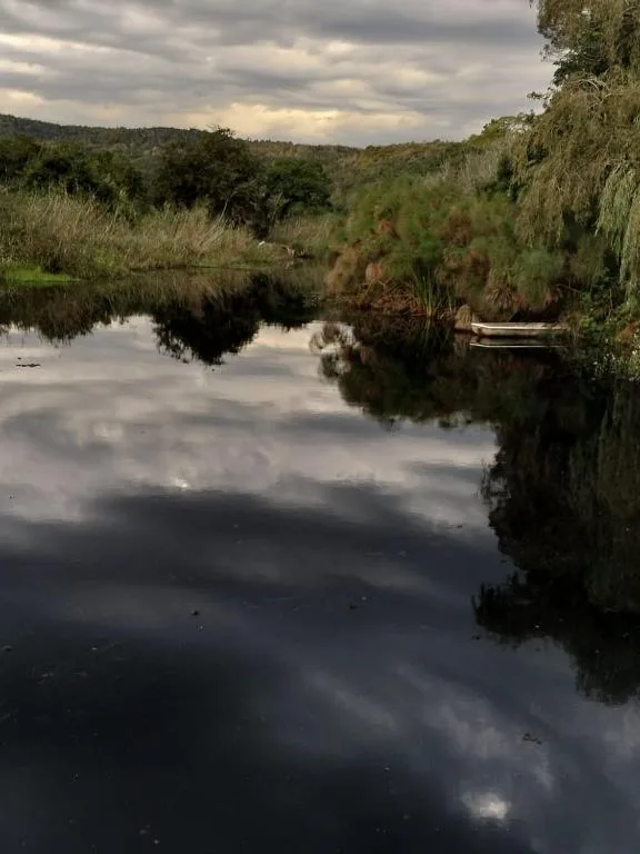 Tranquil river reflects sky with lush vegetation and distant hills