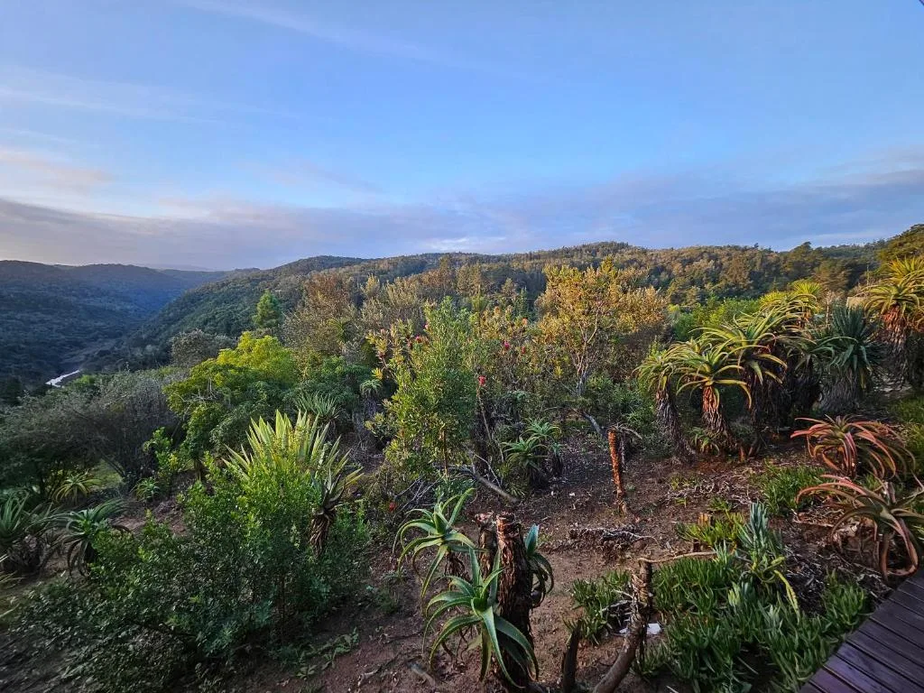 Lush valley landscape with forested hills and river vista below