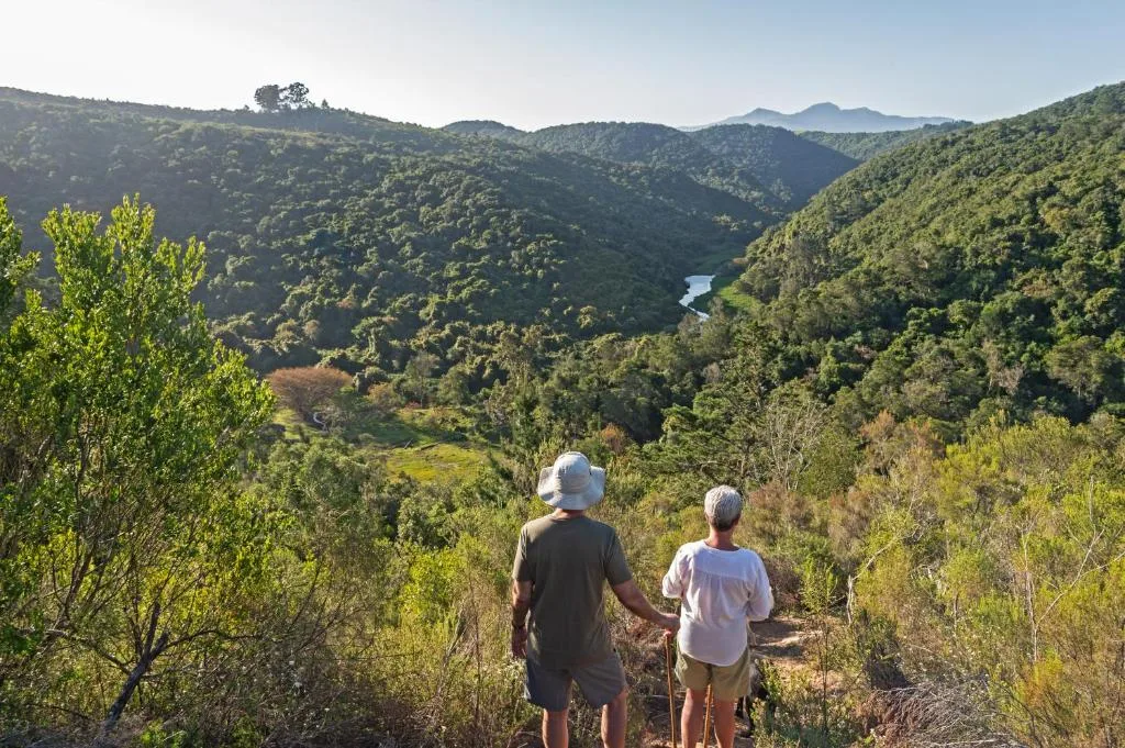 Hikers overlook lush forested valley with river winding through mountains