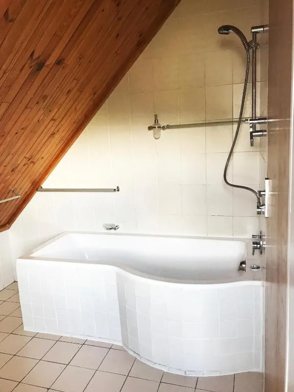 Modern curved bathtub with shower enclosure under wooden ceiling