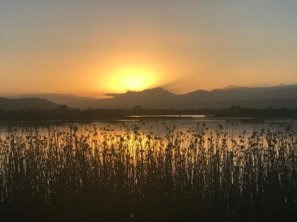 Sunset over lagoon with reeds and mountains in background