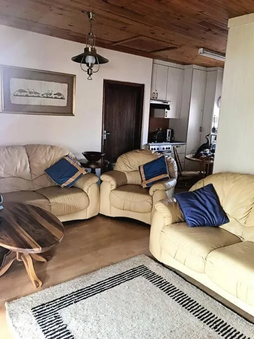 Cream leather seating with blue cushions, wooden ceiling, open-plan kitchen visible