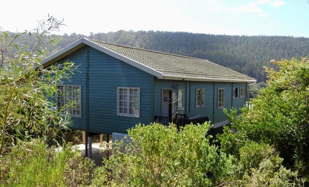 Modern blue cottage elevated on stilts, surrounded by native vegetation and forest backdrop
