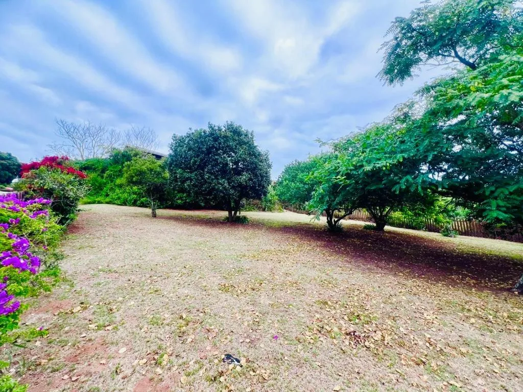 Spacious garden with mature trees and vibrant purple flowering shrubs