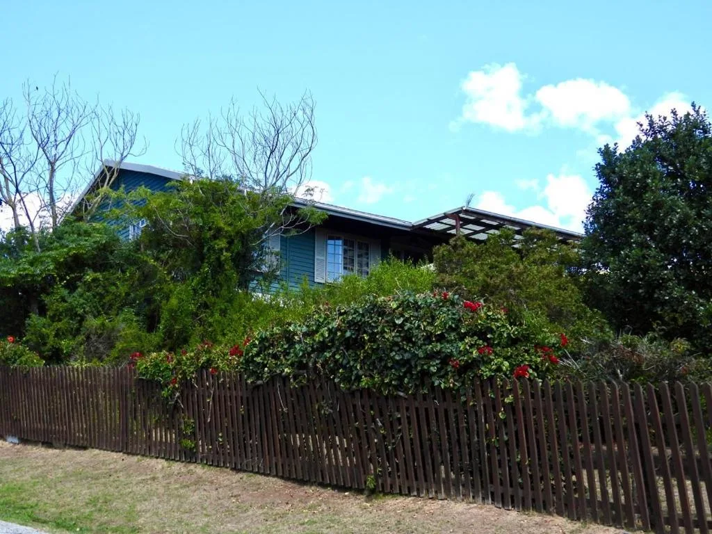 Modern home with green roof and lush gardens behind wooden fence