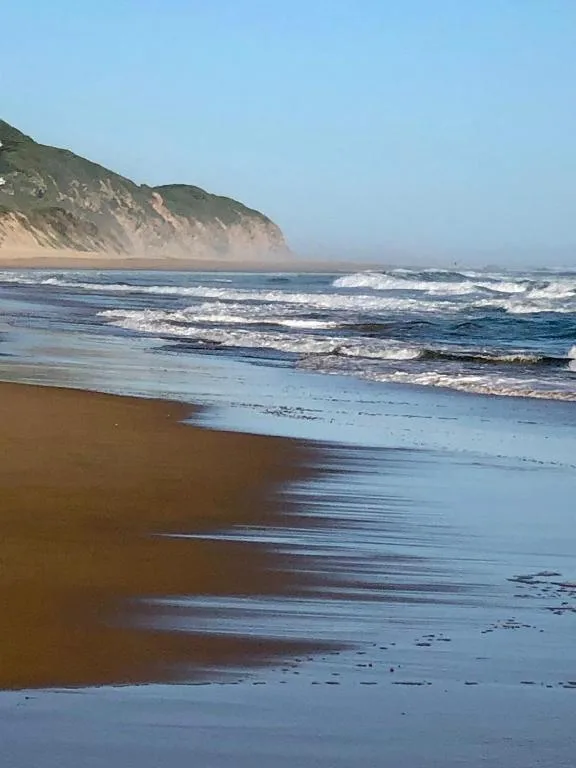 Dramatic sandy beach with rolling ocean waves and green coastal cliffs