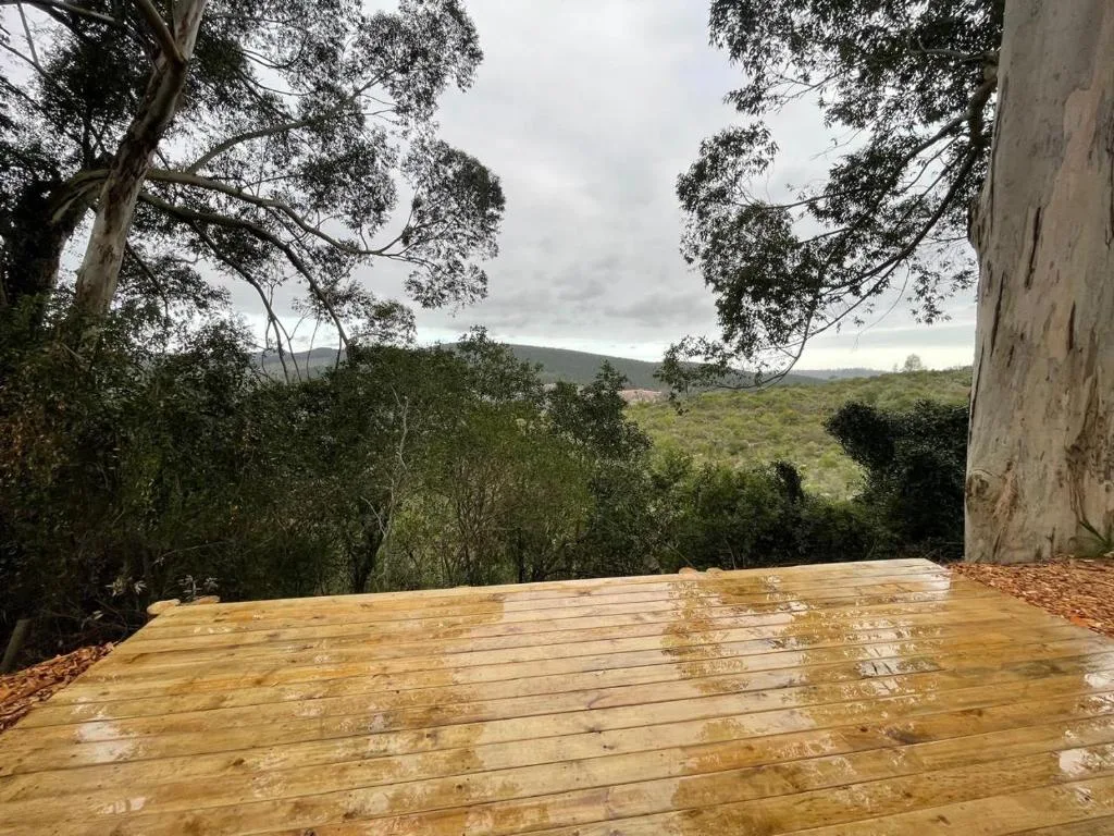 Wooden deck overlooking lush valley and mountains with native trees