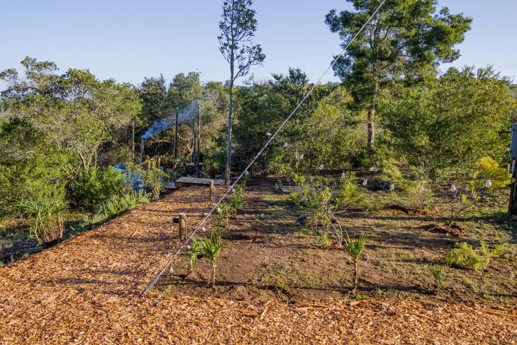 Spacious garden with mature trees, pathways, and natural vegetation