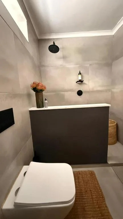 Modern bathroom with black basin vanity, rainfall showerhead, and minimalist decor