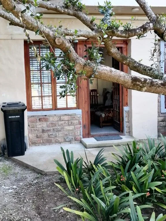 Charming cottage entrance with red wooden doors and natural tree shade