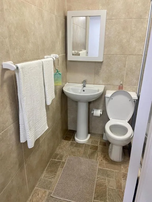 Compact bathroom with pedestal sink, toilet, and towel rack