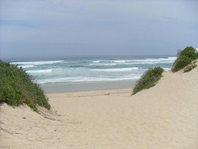 Sandy beach with rolling ocean waves and coastal vegetation
