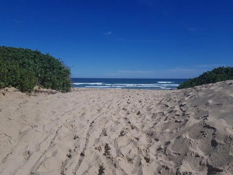 Sandy beach with dunes and ocean stretching toward clear blue horizon
