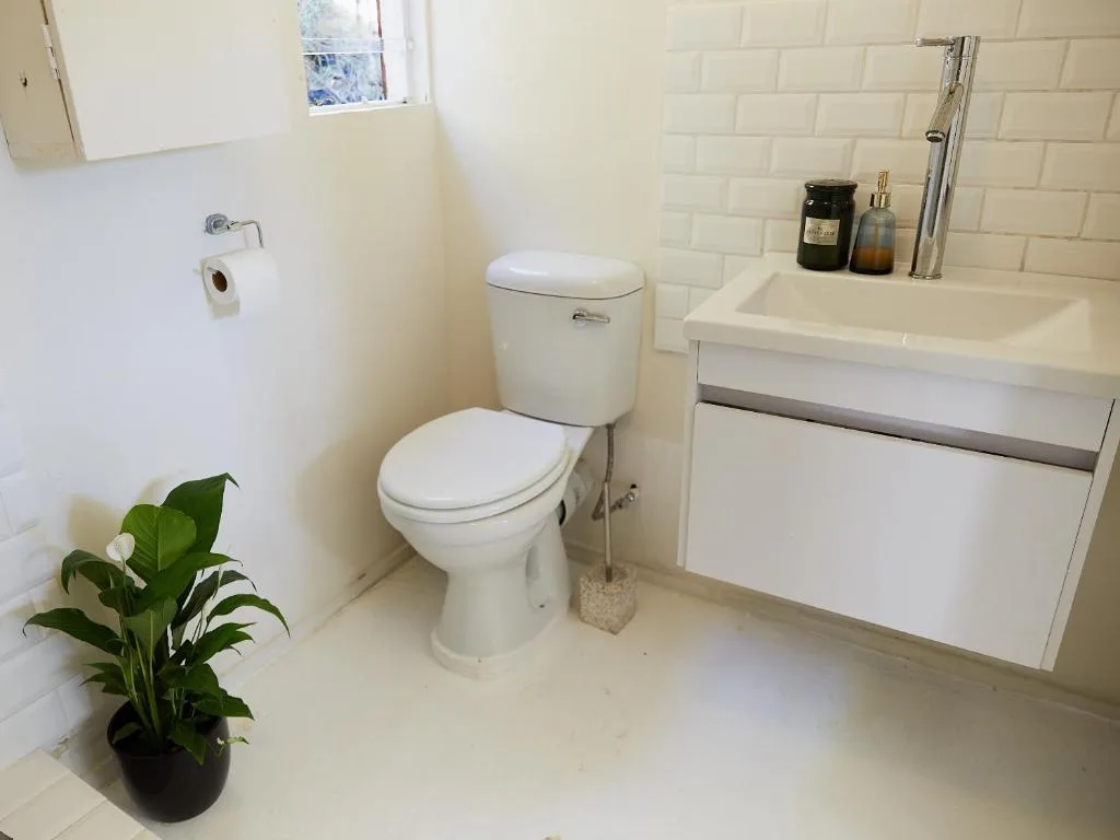 Clean modern bathroom with white toilet, vanity sink, and potted plant