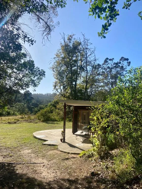 Modern cabin with pergola nestled in lush green forest landscape