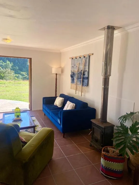Bright living room with blue sofa, fireplace, and garden views