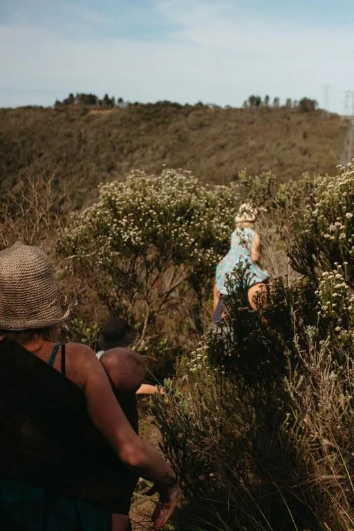 Scenic hillside landscape with blooming wildflowers and indigenous vegetation