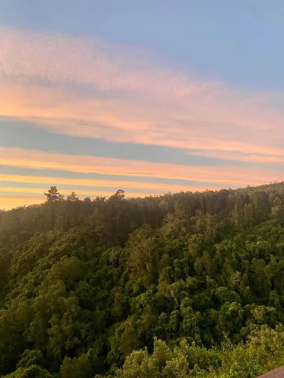 Sunset sky over dense forested valley with golden and pink clouds
