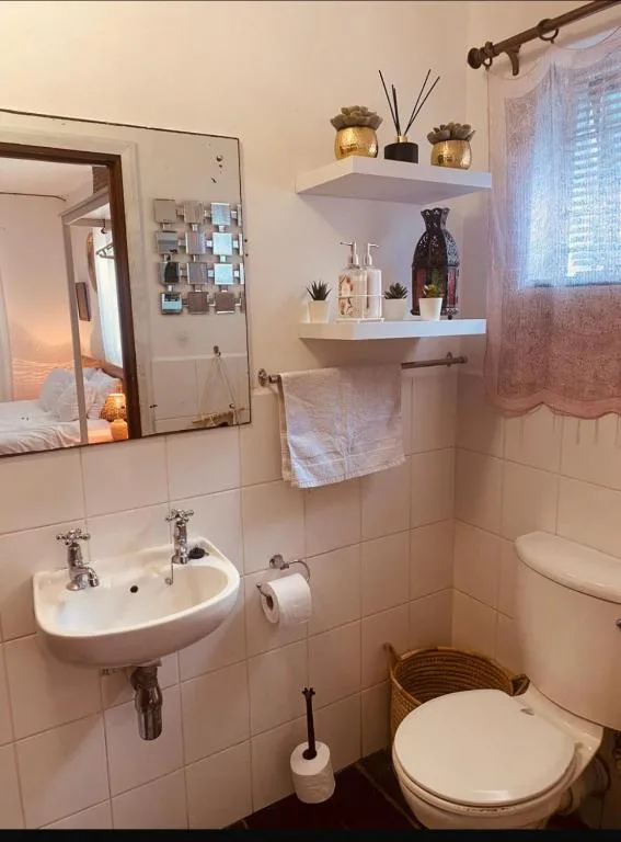 Bright bathroom with white sink, toilet, and decorative shelving above vanity
