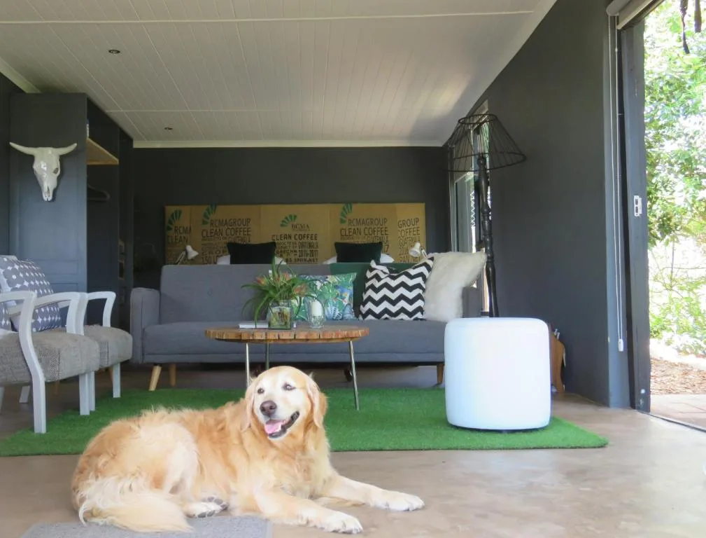 Contemporary lounge with gray sofa, dog resting on floor, and garden view