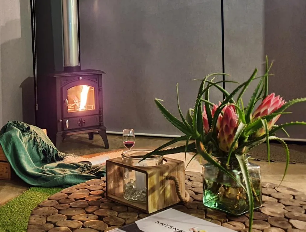 Cozy lounge with wood stove, protea flowers, and wine glass