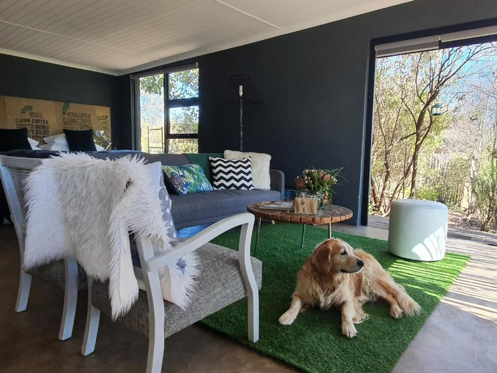 Modern lounge with dark walls, comfortable seating, dog on artificial grass, forest views