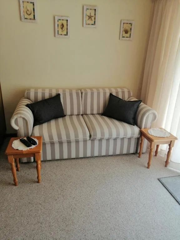 Striped sofa with black cushions in a bright, comfortable living room