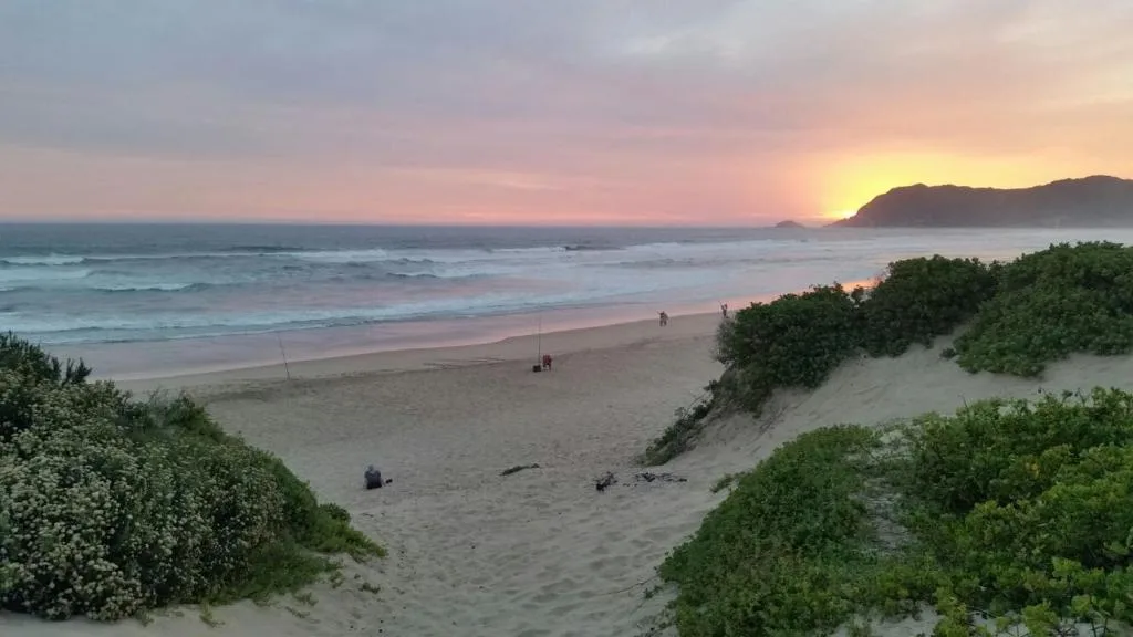 Sunset over beach with sand dunes and coastal vegetation