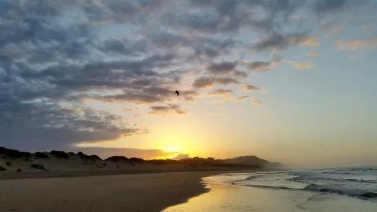 Dramatic sunset over Sedgefield beach with golden light reflecting on wet sand