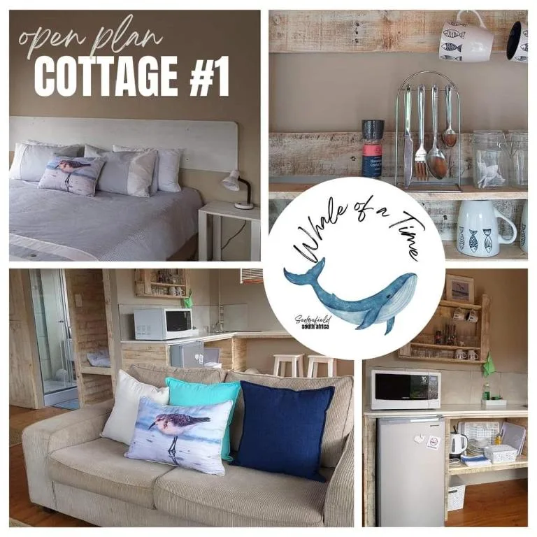 Whale of a Time - Sedgefield