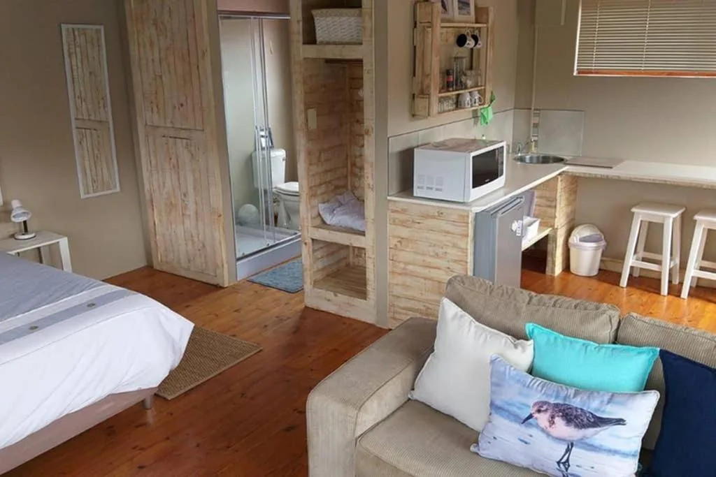 Studio apartment overview showing bed, sofa, kitchenette and bathroom entrance
