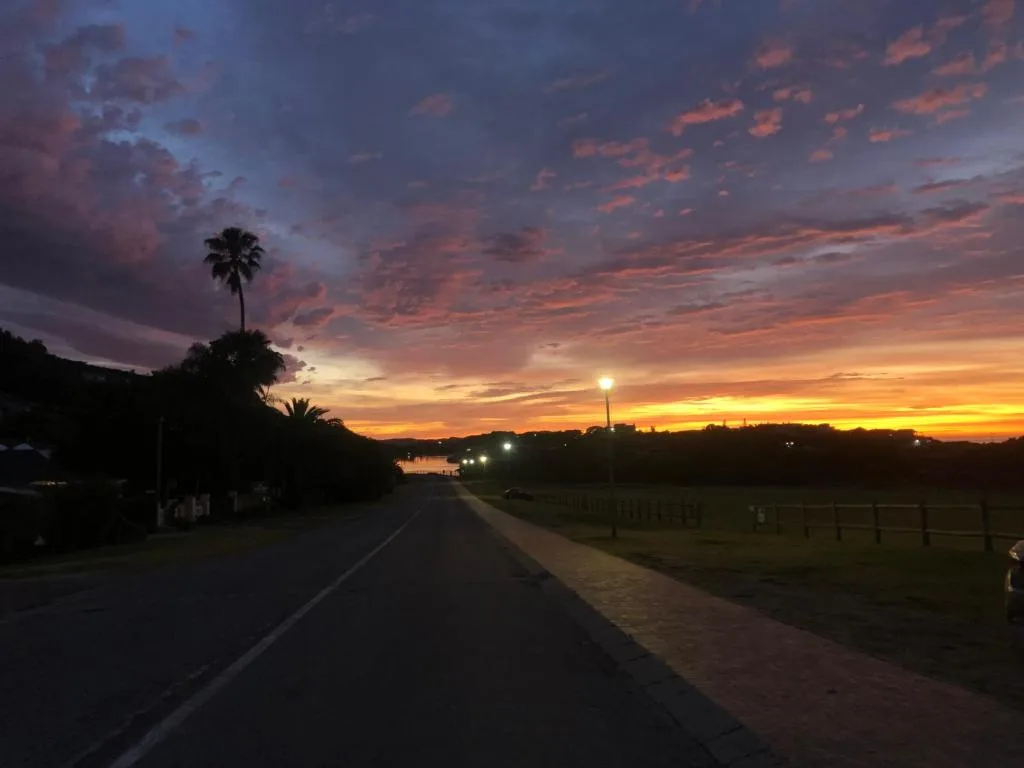 Stunning sunset over Wilderness lagoon with palm trees silhouetted against orange sky