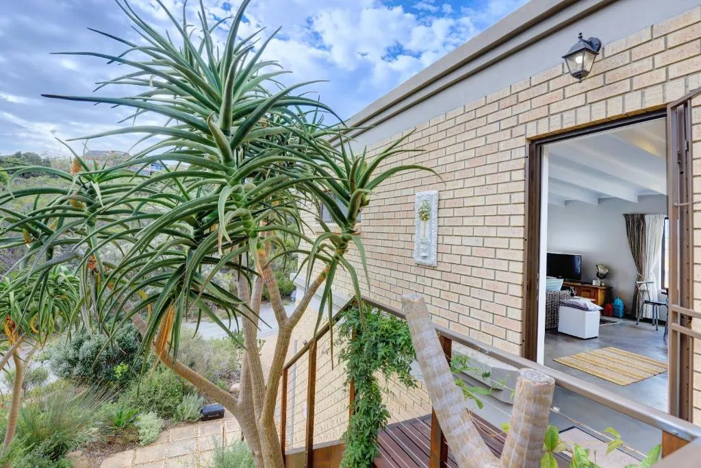 Wooden deck with potted plants and open glass doors to interior