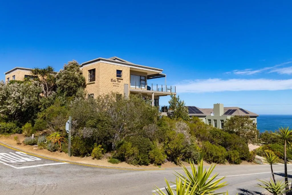 Modern yellow brick residence with ocean view and native coastal vegetation