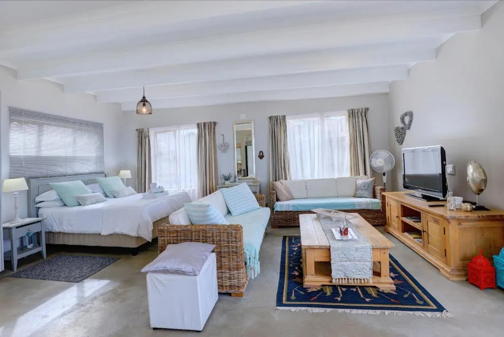 Bright open-plan lounge and bedroom with comfortable sofa and TV entertainment area